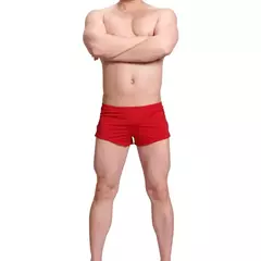 Sexy Ice Silk Boxer Shorts dos homens, Sólido Calças Seta Transparente, Respir - comprar online
