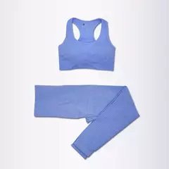 2/3/5 pçs sem costura feminino conjunto de yoga treino roupas esportivas ginás na internet