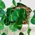 JibóiaDecor – Planta Artificial com Vaso "Charme verde sem manutenção para seu espaço."