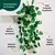 JibóiaDecor – Planta Artificial com Vaso "Charme verde sem manutenção para seu espaço." - VariMais