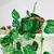 JibóiaDecor – Planta Artificial com Vaso "Charme verde sem manutenção para seu espaço." - loja online