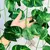 JibóiaDecor – Planta Artificial com Vaso "Charme verde sem manutenção para seu espaço."
