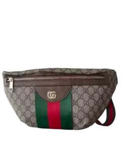 Gucci GG Belt Bag