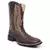 Bota Texana Helazza Masculina Ref 404503 Abel