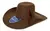 CHAPEU PRALANA CHAMPION BIPLAY II CAFE REF 12422