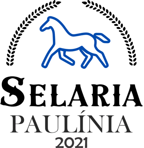 Selaria Paulínia | Moda country