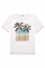 Camisa Menino Verão na internet