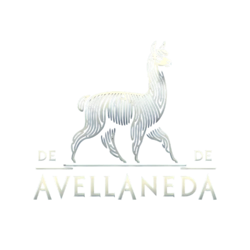 De Avellaneda Store