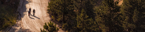 Banner da categoria Elétricas