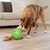 OH Dog Snuffle n' Treat Ball - Dispenser - comprar online