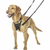 CA Halti No Pull Harness - comprar online