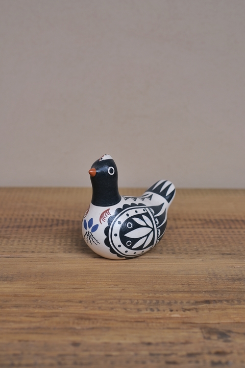 Gallinita Calchaquí