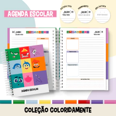 AGENDA ESCOLAR COLEÇÃO DIVERTIDAMENTE - comprar online