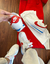 Tênis Nike Cortez na internet