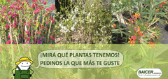 Banner de la categoría CATÁLOGO DE PLANTAS