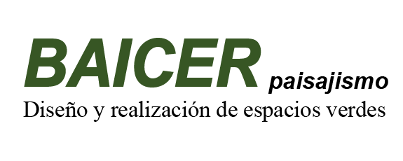 BaicerArgentina