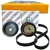 Kit Correia + Tensor e Polia Brava Palio Siena Doblo Linea