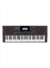 Teclado Casio CT-X5000