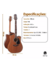 Violão Takamine Folk GD11 - loja online