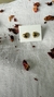 Love - comprar online