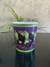 Pote 780 ml (1000 un) - Global Group 