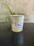 Pote 780 ml (1000 un) na internet