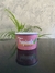 Pote 360 ml (1000 un) - comprar online