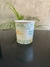 Pote 780 ml (1000 un) - comprar online