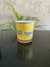 Pote 780 ml (1000 un)