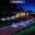 LuzFestiva Solar - Fogos de Artificio Decorativo