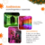 Cortina com 360 LEDs multifunções colorido com controle 3m x 3m bivolt. - loja online