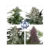 x10 Assorted MIX [AUTO] Buddha Seeds en internet