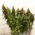 x3 Critical Orange Punch [FOTO] Duthpassion - tienda online