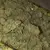 x3 Sherbet [AUTO] Seedstockers - Resisfem