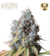 x3 Rucu Cucu Og [FOTO] Seedstokers