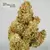 x3 Skywalker Haze [AUTO] Dutchpassion - comprar online