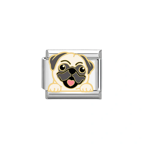 Dogs charms en internet