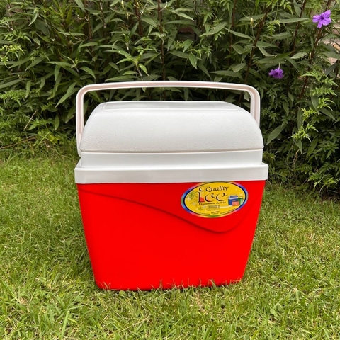 CONSERVADORA QUALI ICE 32 LTS