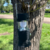 FAROL LED LUZ SOLAR RECARGABLE en internet