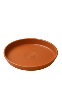Platos Plásticos - comprar online