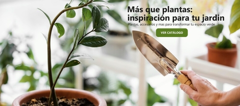 Carrusel Viveros El Botánico | Plantas, Árboles y Todo para tu Jardín