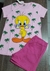 Conjunto pintinho