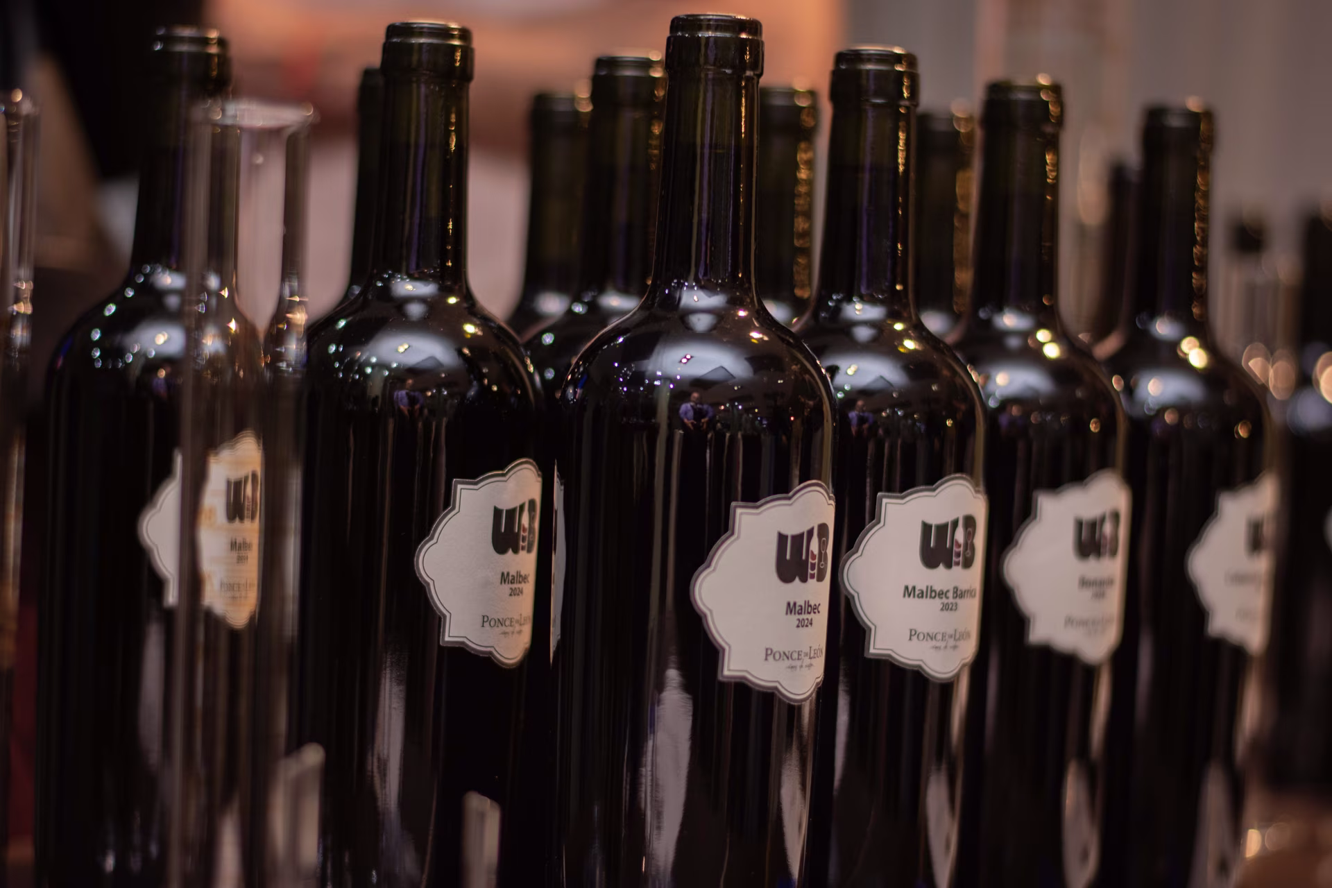 Selección de botellas identificadas para Wine Blend Concept