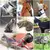 Ajustável Nylon Pet Cat Collar, Cozy Coelho Harness, Kitten and Dog Leash Set, Acessórios Cat, Produtos para Animais de Estimação, 5 Cores. - comprar online