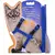 Ajustável Nylon Pet Cat Collar, Cozy Coelho Harness, Kitten and Dog Leash Set, Acessórios Cat, Produtos para Animais de Estimação, 5 Cores. na internet