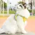 Arnês respirável e cinto conjunto para gatos, produtos para animais, acessórios, colar, colarinho, coisas, Home Supplies. - Viva Mix Shop