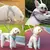 Arnês respirável e cinto conjunto para gatos, produtos para animais, acessórios, colar, colarinho, coisas, Home Supplies. - comprar online