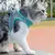 Arnês respirável e cinto conjunto para gatos, produtos para animais, acessórios, colar, colarinho, coisas, Home Supplies.