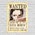 Pôster Wanted One Piece - Super Posters