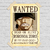 Pôster Wanted One Piece - loja online